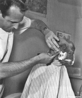 Barber dog, Salon khusus untuk anjing Barber dog, Salon khusus untuk anjing